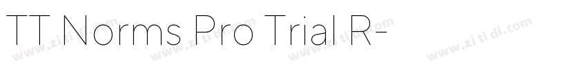TT Norms Pro Trial R字体转换